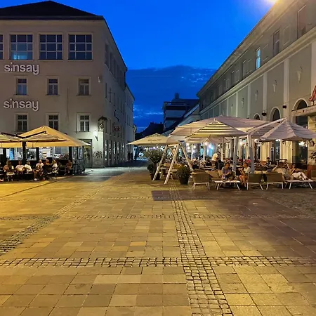 Apartman Janko's House