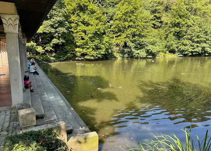 Janko's House מריבור